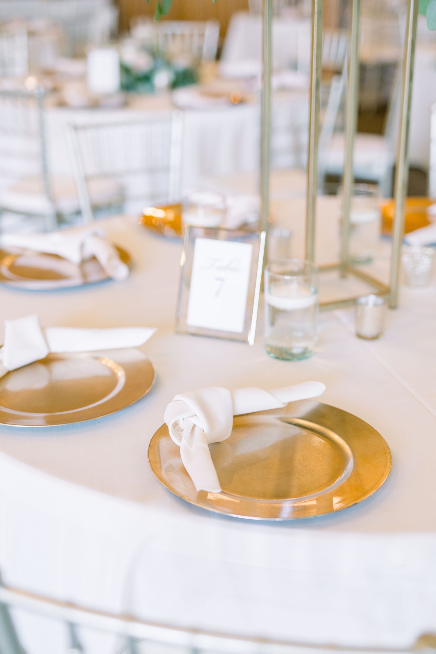 Vineyard photos with white willow events at Prairie Moon Winery wedding in Ames, Iowa