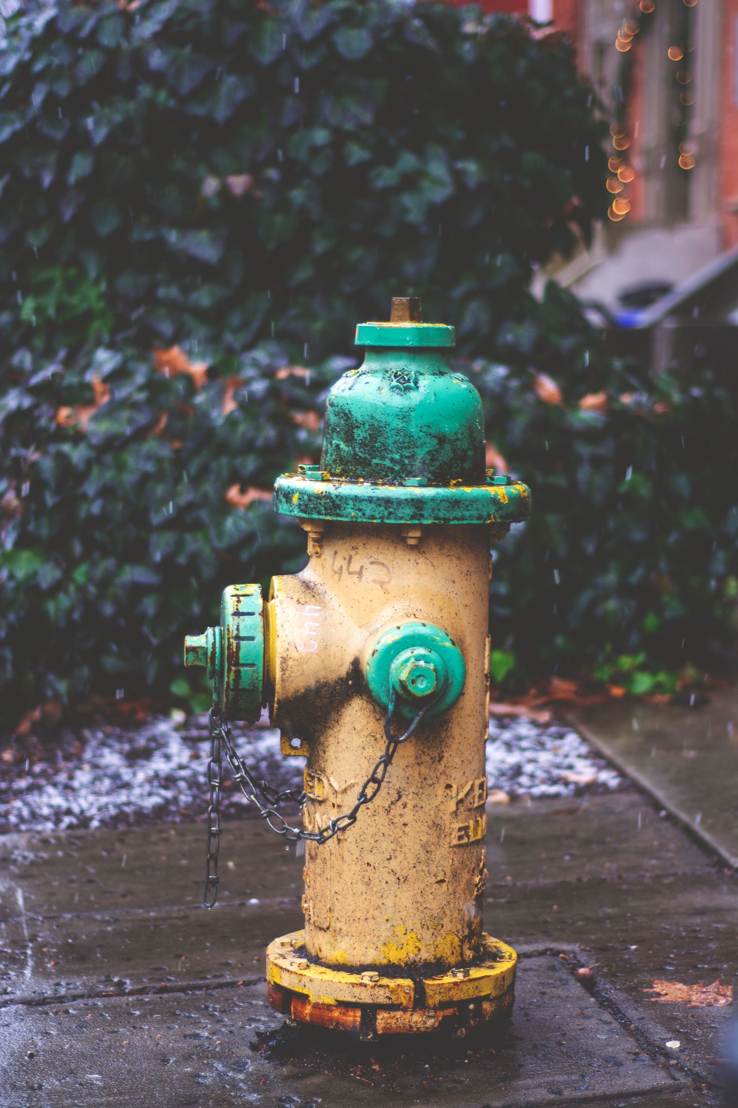 A green and yellow fire hydrant.