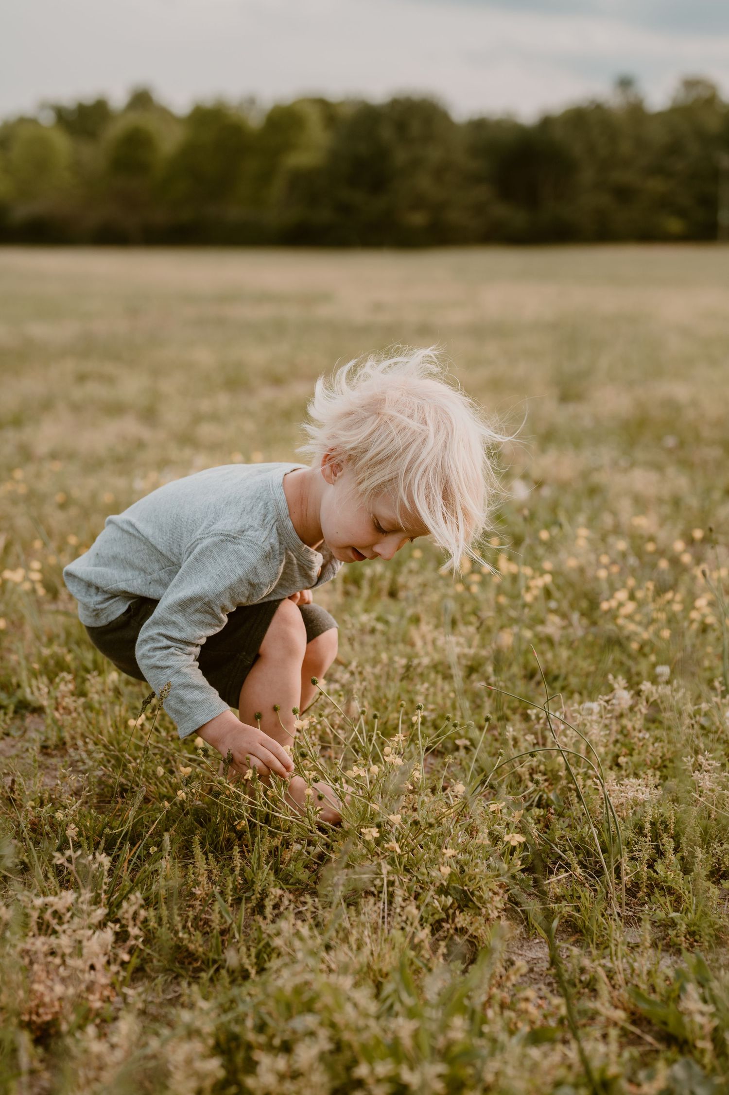 A child bends down to explore wildflowers in a meadow during golden hour. photo by Samantha Campbell imagery