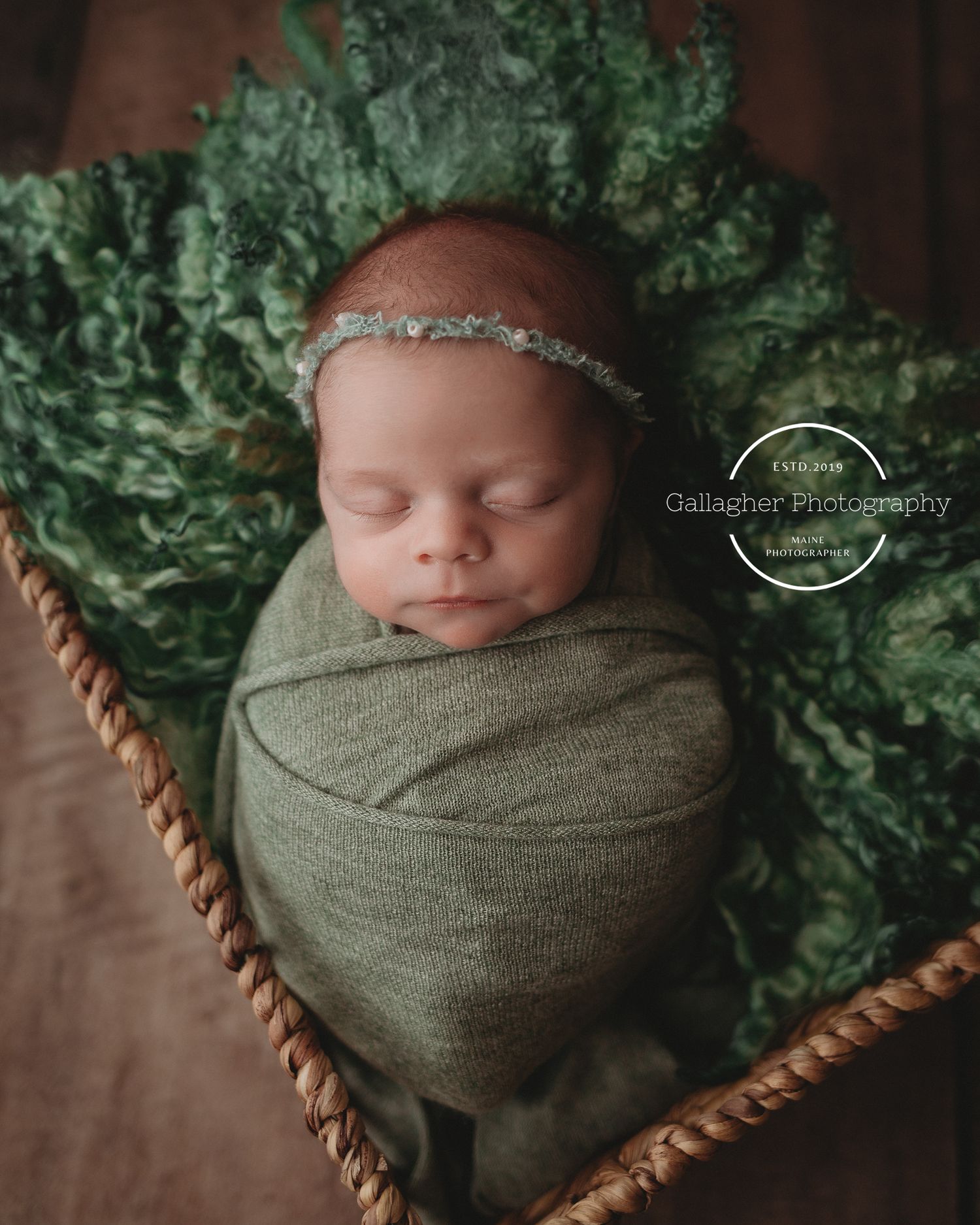 Professional newborn photo