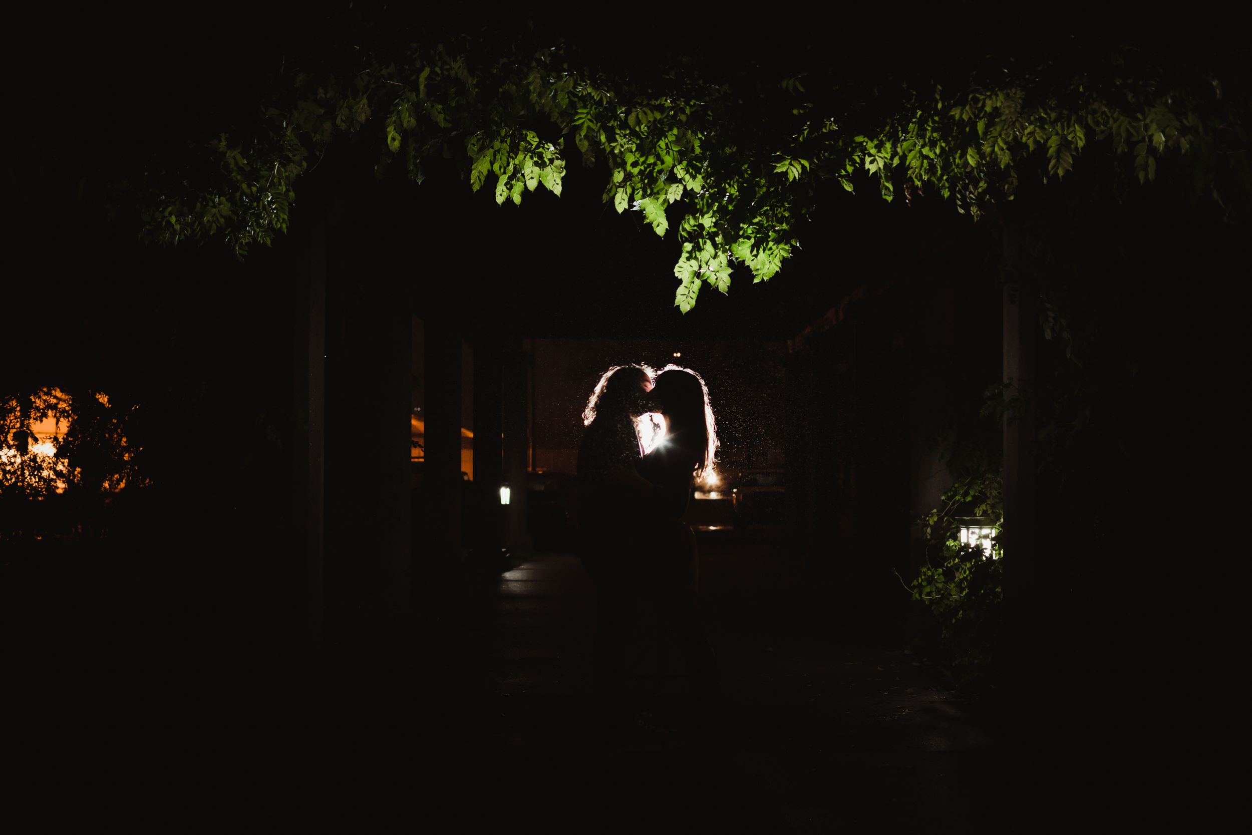 Silhouette of a couple kissing outdoors at night with leaves above them on a trellis. A light shines between them.