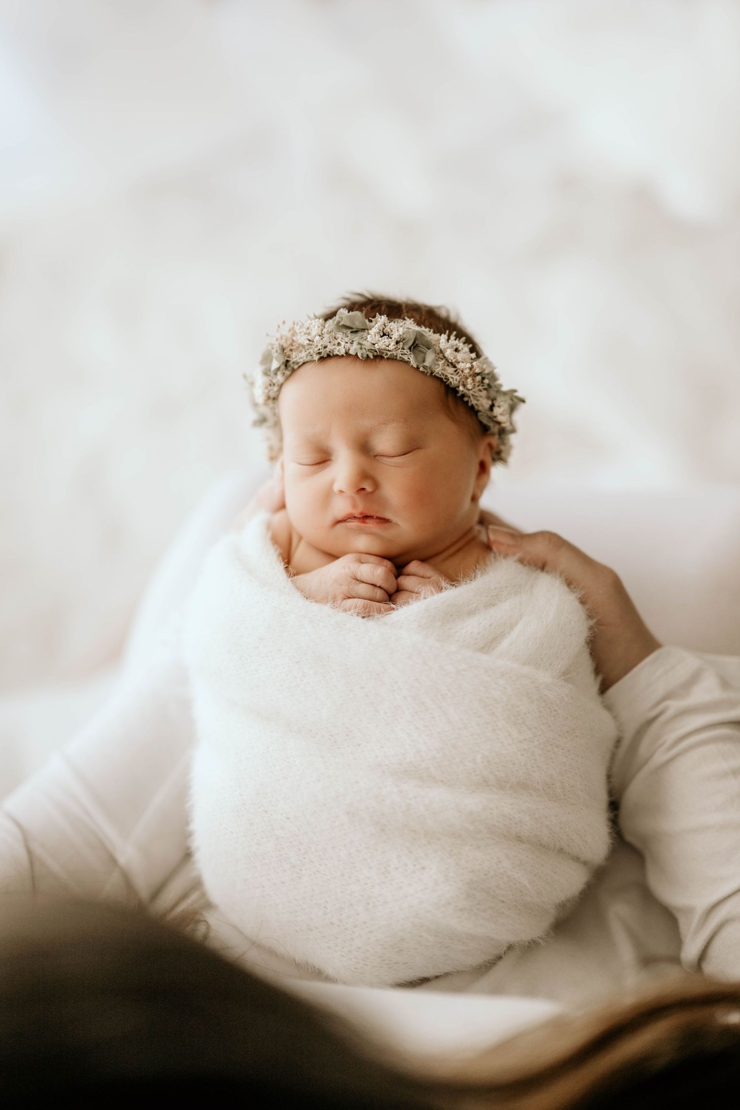 Panama City southport newborn photographer studio lifestyle, neutral, white photorgraphy