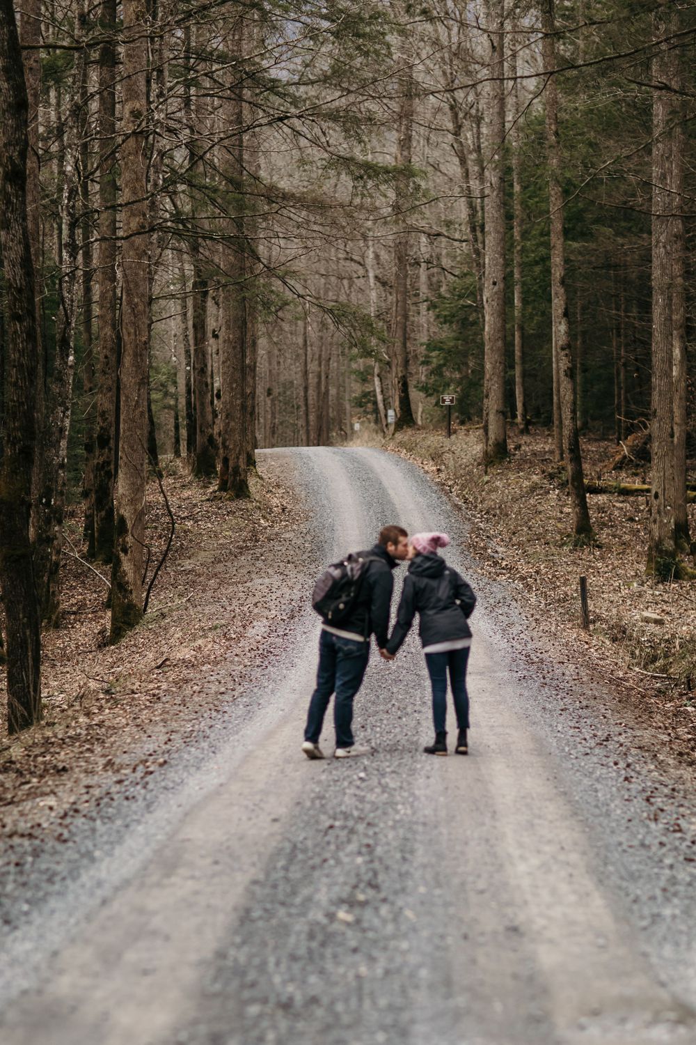 Great Smoky Mountains Engagement Elopement Mountain Elopement Tenessee Photographer Tennessee Elopement Photographer TN