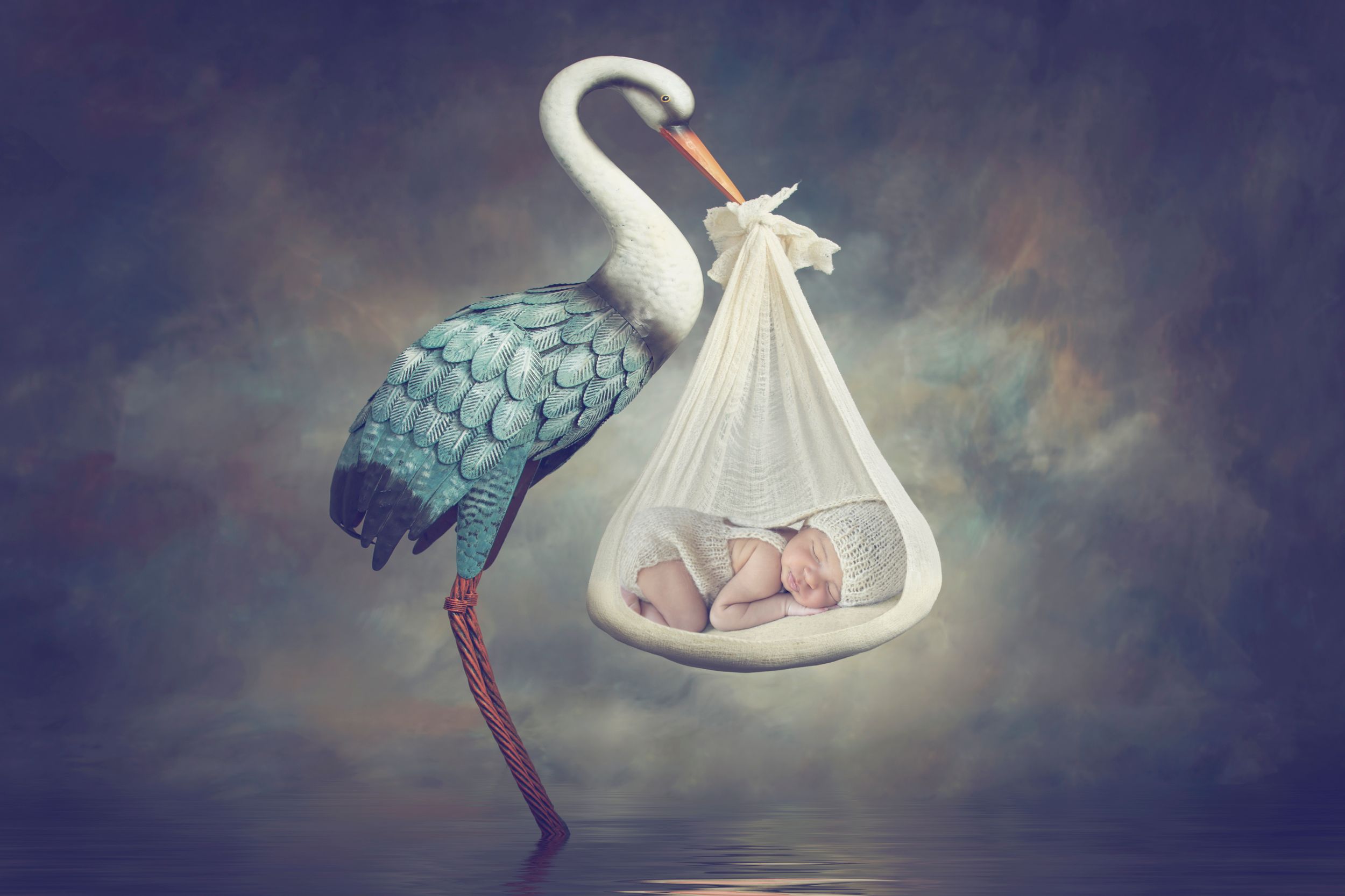 Custom Newborn Portrait Photographer