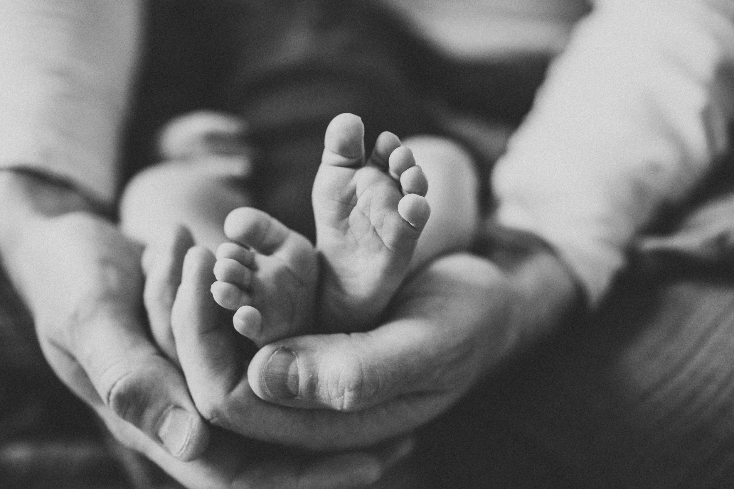 A closeup of newborn toes, snug in dad's hands. Photo by newborn photographer, Elizabeth Pachniak Photography.