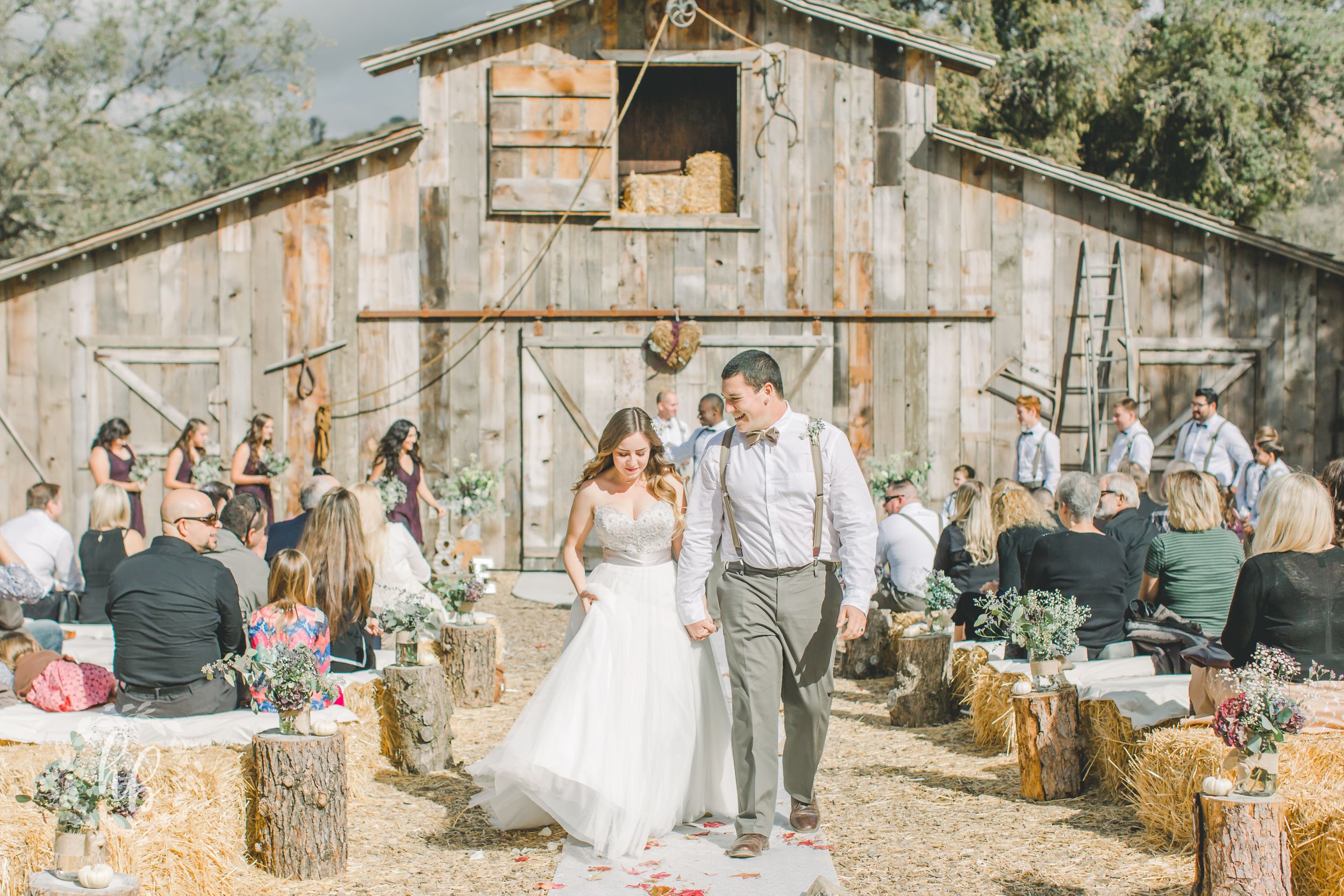 Dorner Family Vineyard Fall Wedding Los Angeles Wedding Photographer