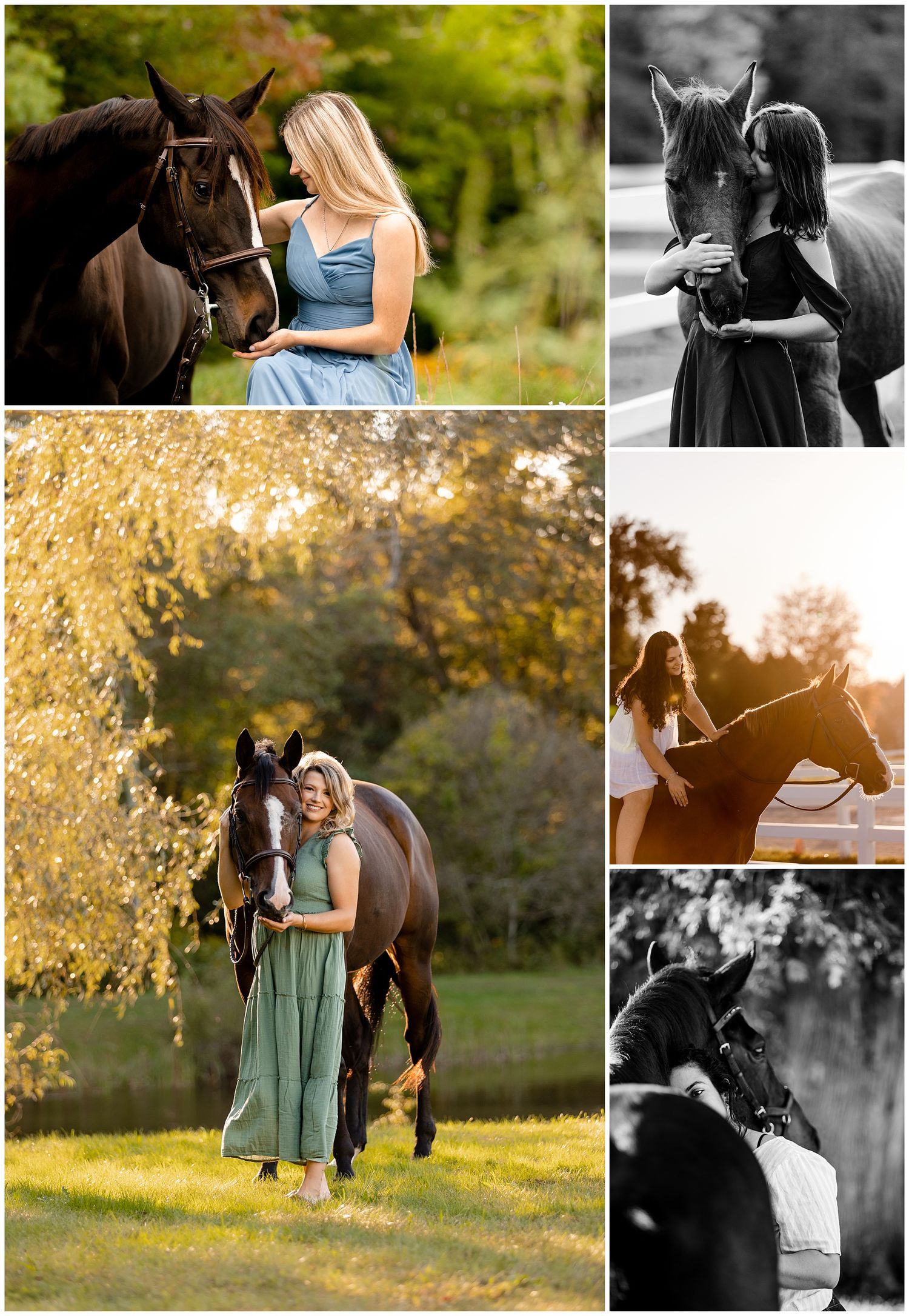 Horse and Rider connection portrait sessions 2021