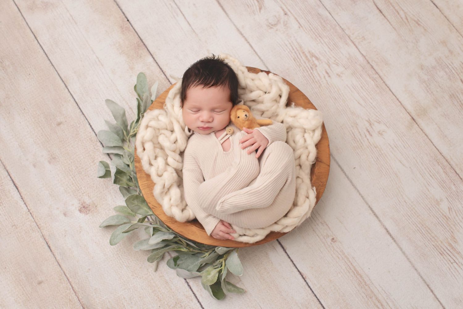 newborn baby boy with lion neutral tones in wood bowl with green foliage on wood backdrop