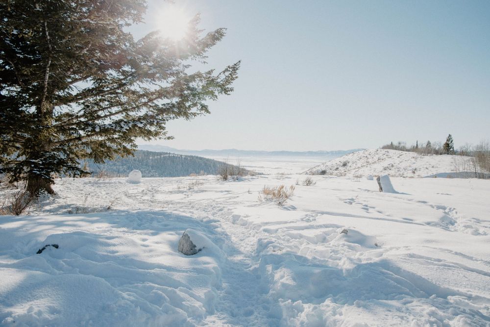 Jackson Hole winter snow elopement intimate wedding