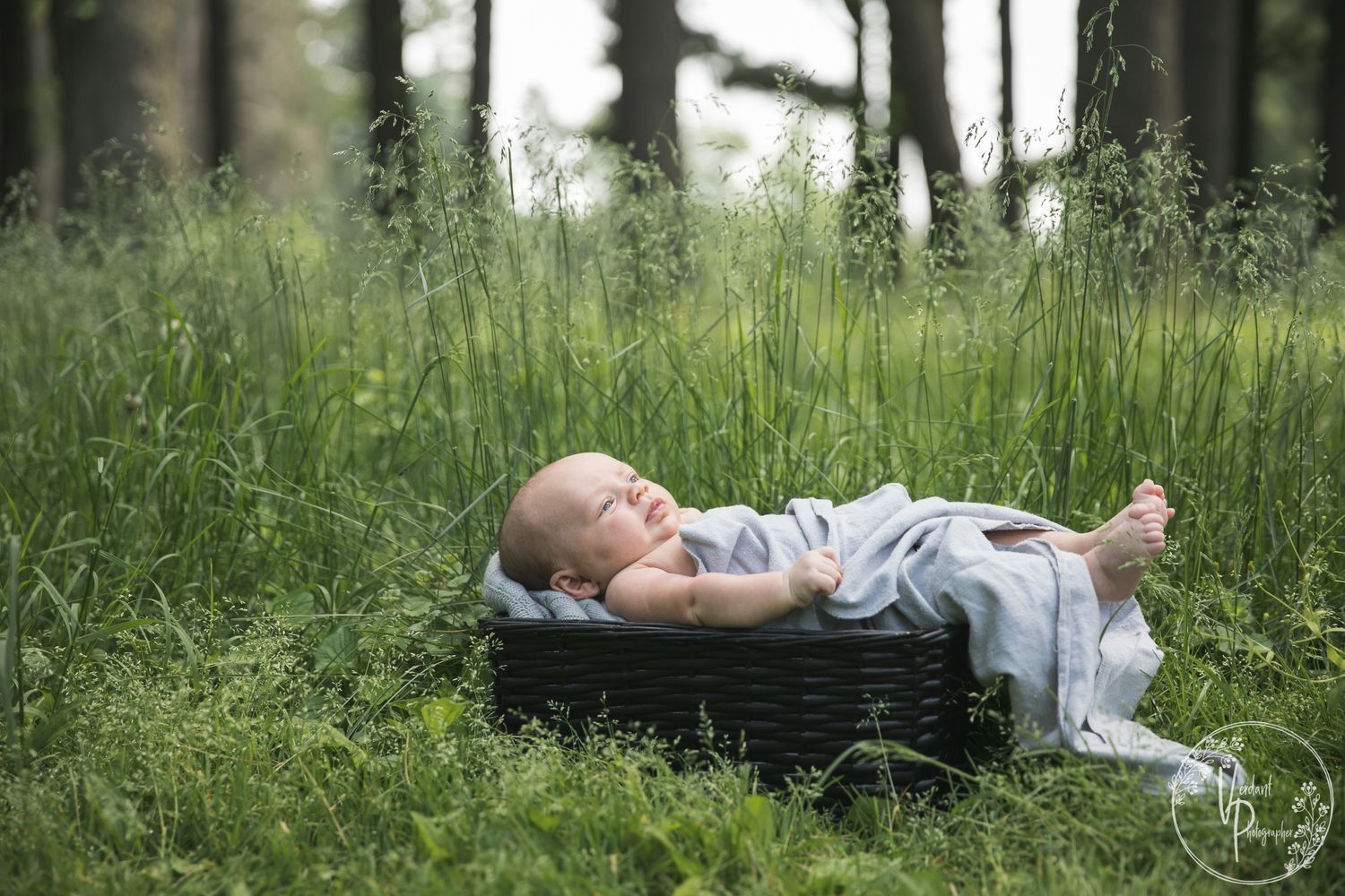 Dixon IL, Newborn Photographer
