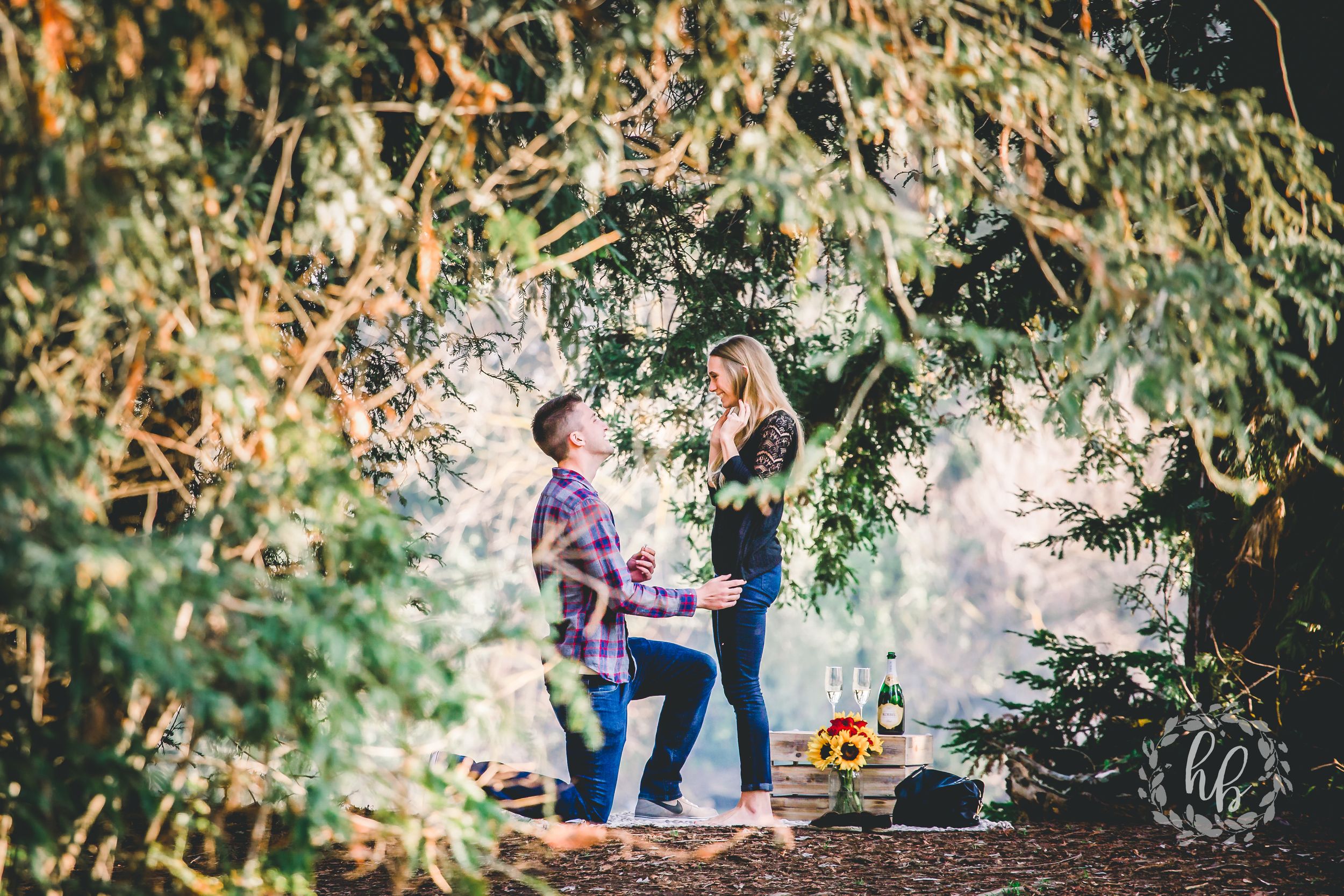 lakeside proposal engagement photos