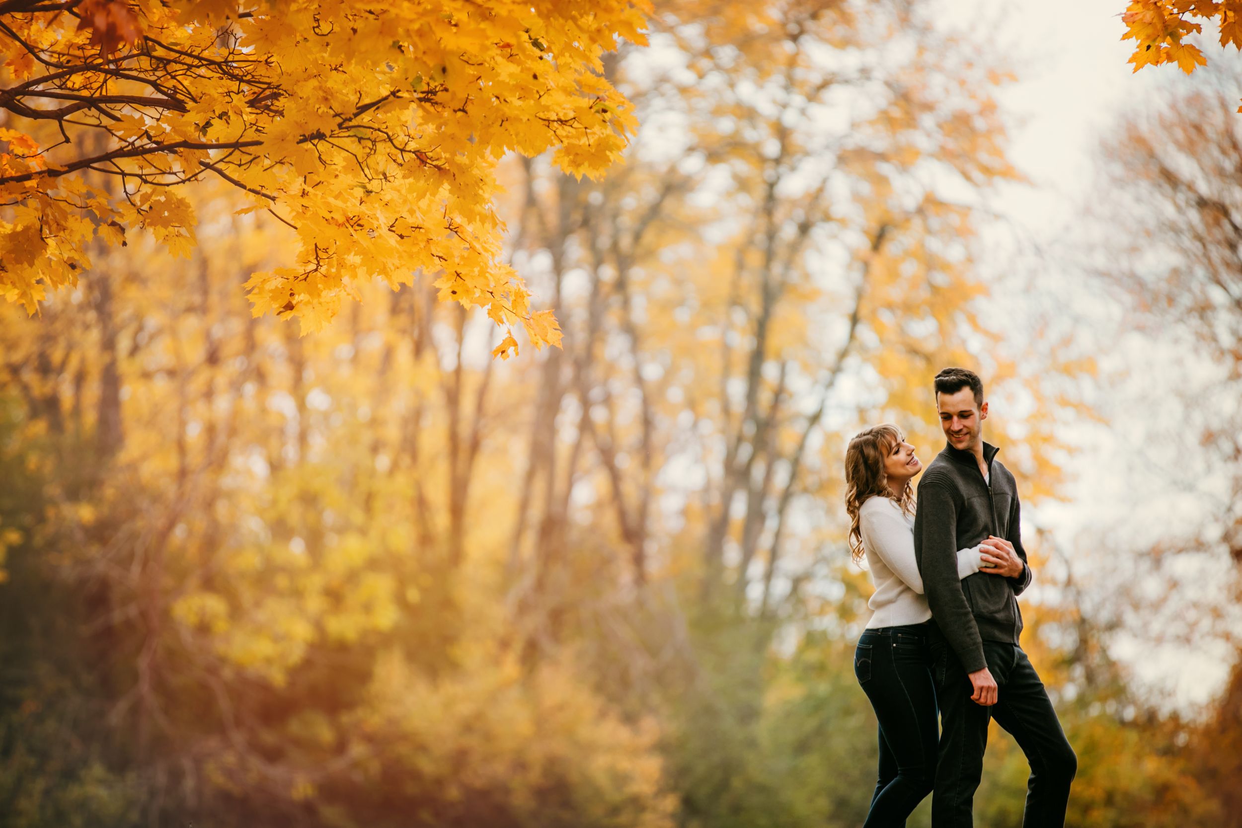 Fall engagement photos at Fanshawe Conservation Area London Ontario by photographer Shawn Van Daele