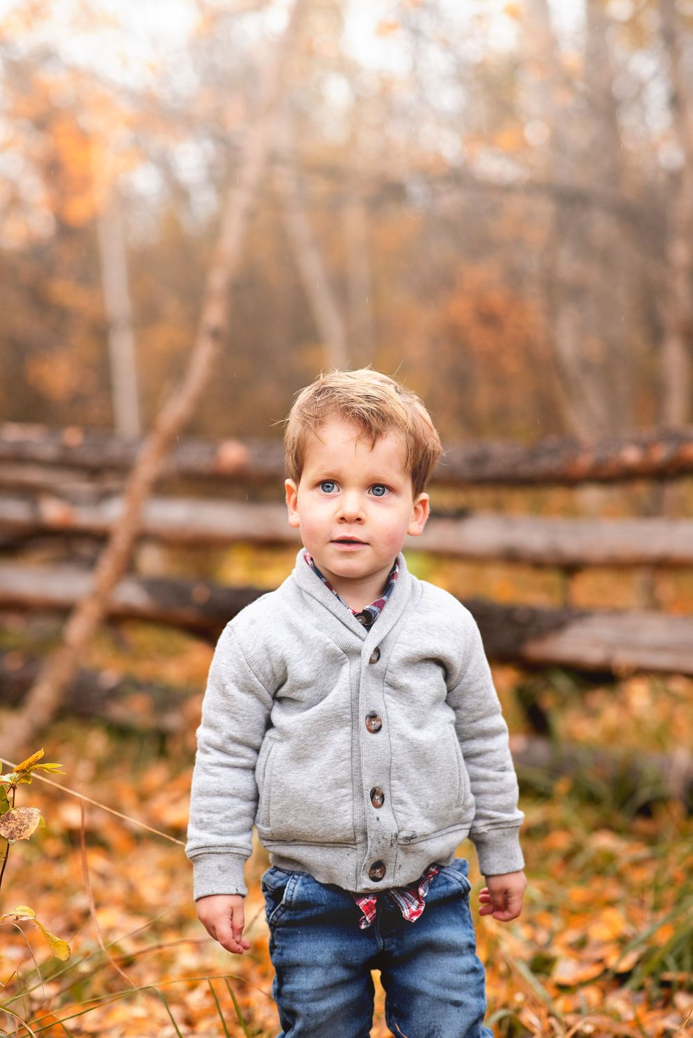 fall family photo, child in fall, fall portrait, Kamloops photographer