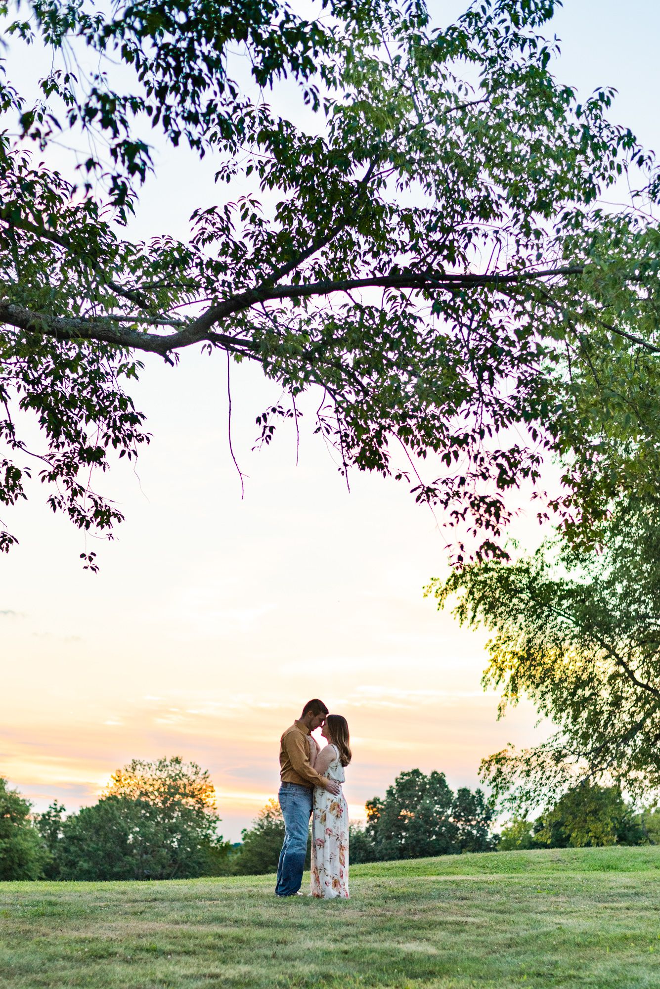 Couple standing under tree in sunset golden hour at Moraine State Park in Pennsylvania
