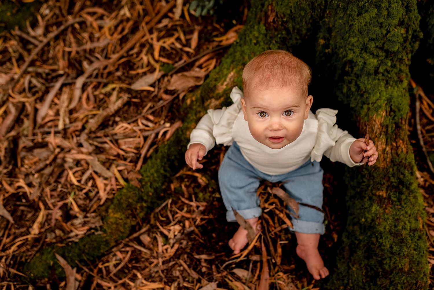 Baby girl amongst leaves in forest at Sassafras