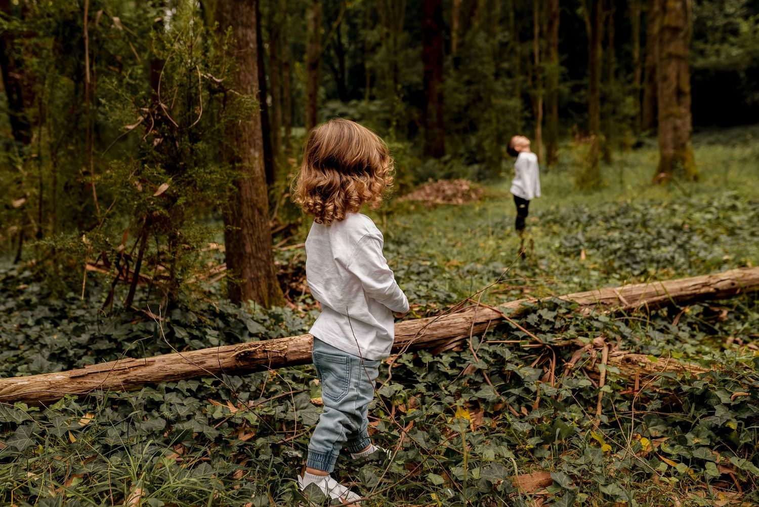 Children playing in forest in Sassafras at photoshoot
