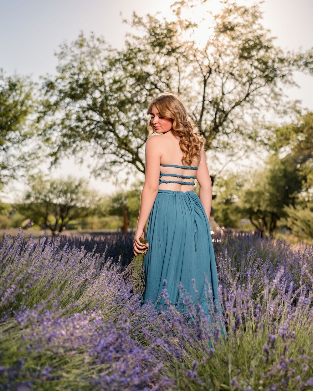 Dreamy Outdoor Senior Photos with Lavender Blooms, Tucson, AZ golden hour senior session