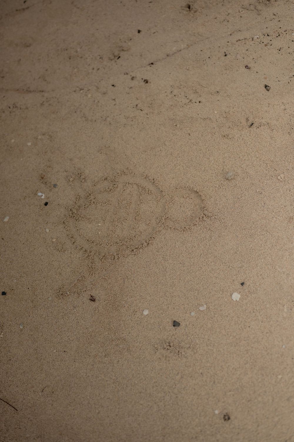 drawing of turtle in sand at waikiki beach