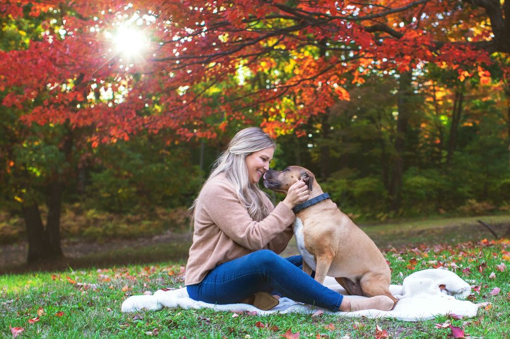 Person and dog share tender moment while sitting on blanket under red fall trees with sunlight peeking through.