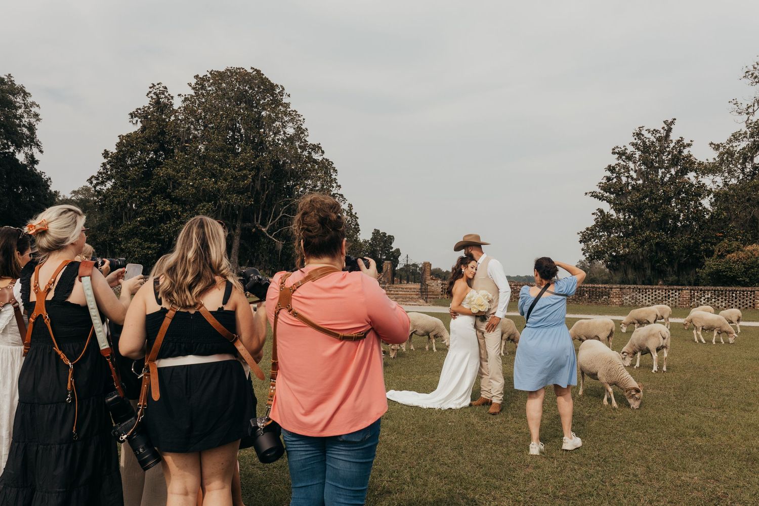 Wedding guests gather on a grassy field during an outdoor celebration at sunset.