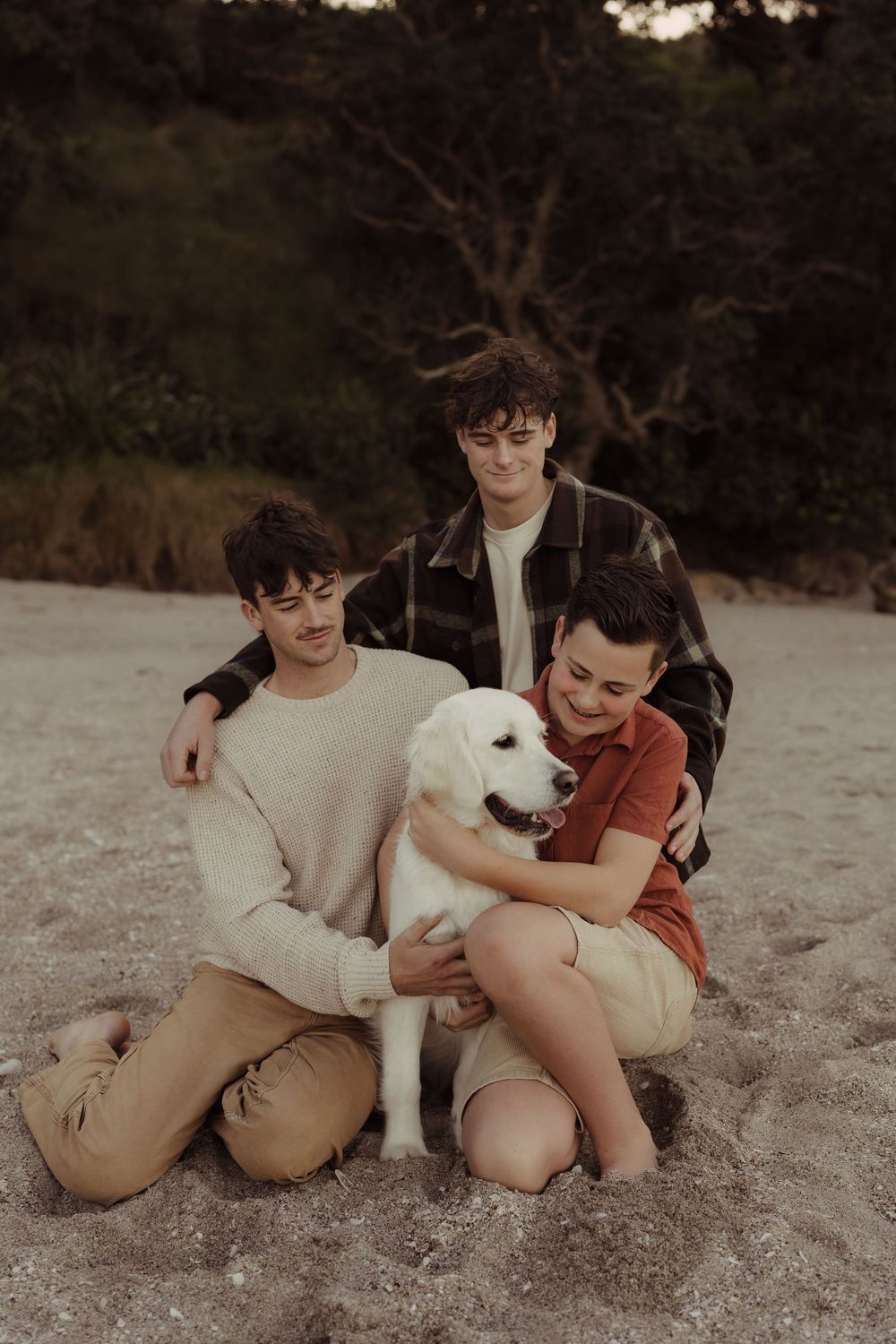 A white dog sits on beach sand surrounded by companions at dusk with trees in background.