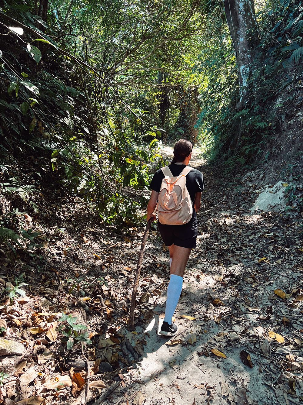 woman hiking in the jungle