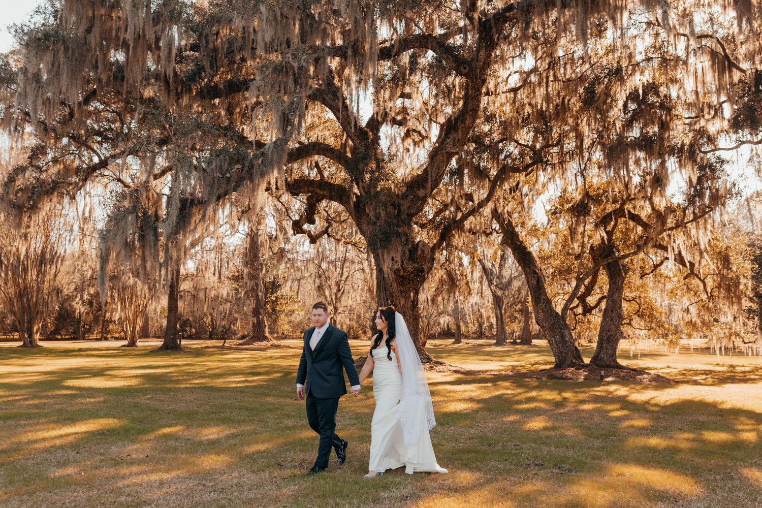 A couple in wedding attire holds hands beneath a dramatic Spanish moss-draped oak tree in golden sunlight.