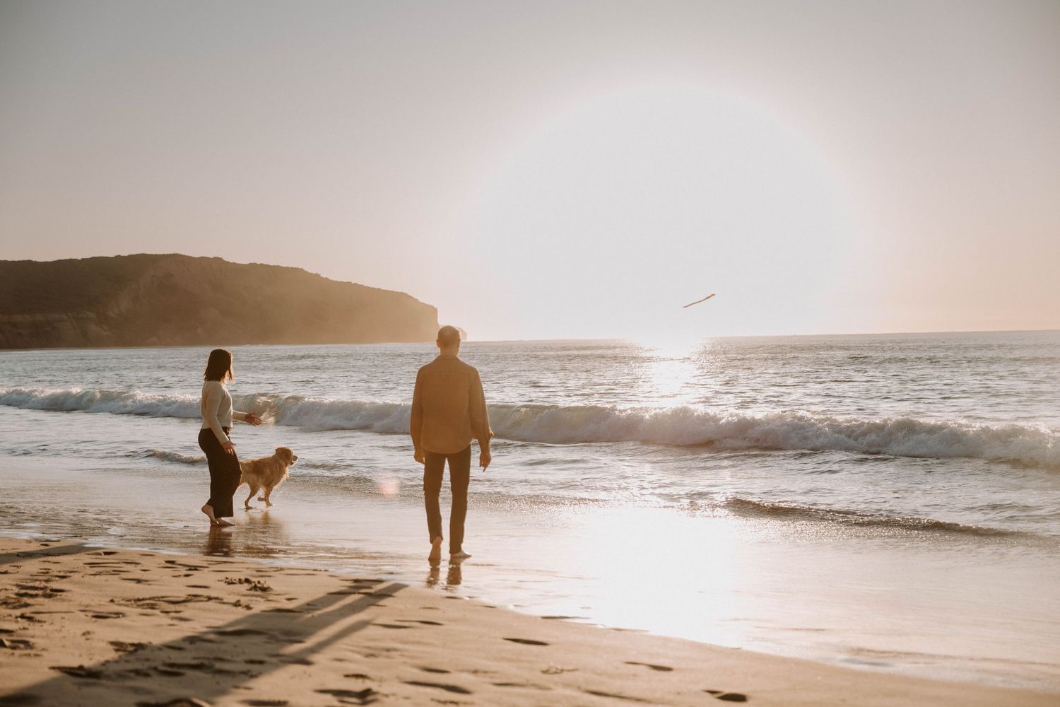 Silhouetted figures walking with a dog at sunset on a scenic beach with rolling waves and coastal hills.