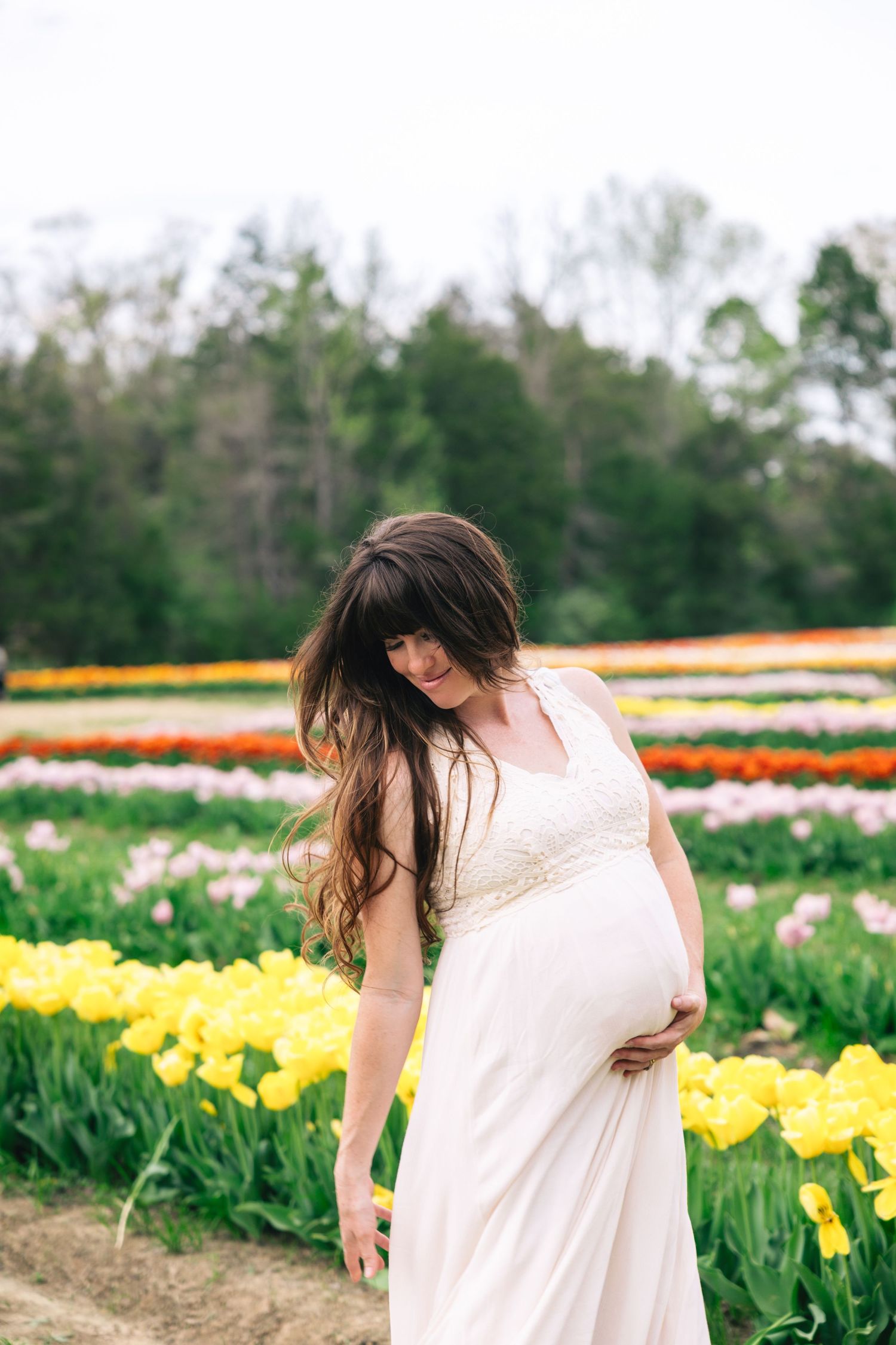 A pregnant woman in a flowing white dress stands among vibrant yellow tulip fields on a spring day. Lorenzen Tulips Farm Sign, Tennessee