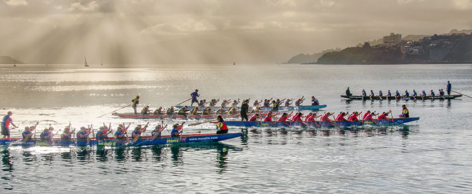 Dragon Boat racing in Wellington Harbour, New Zealand.