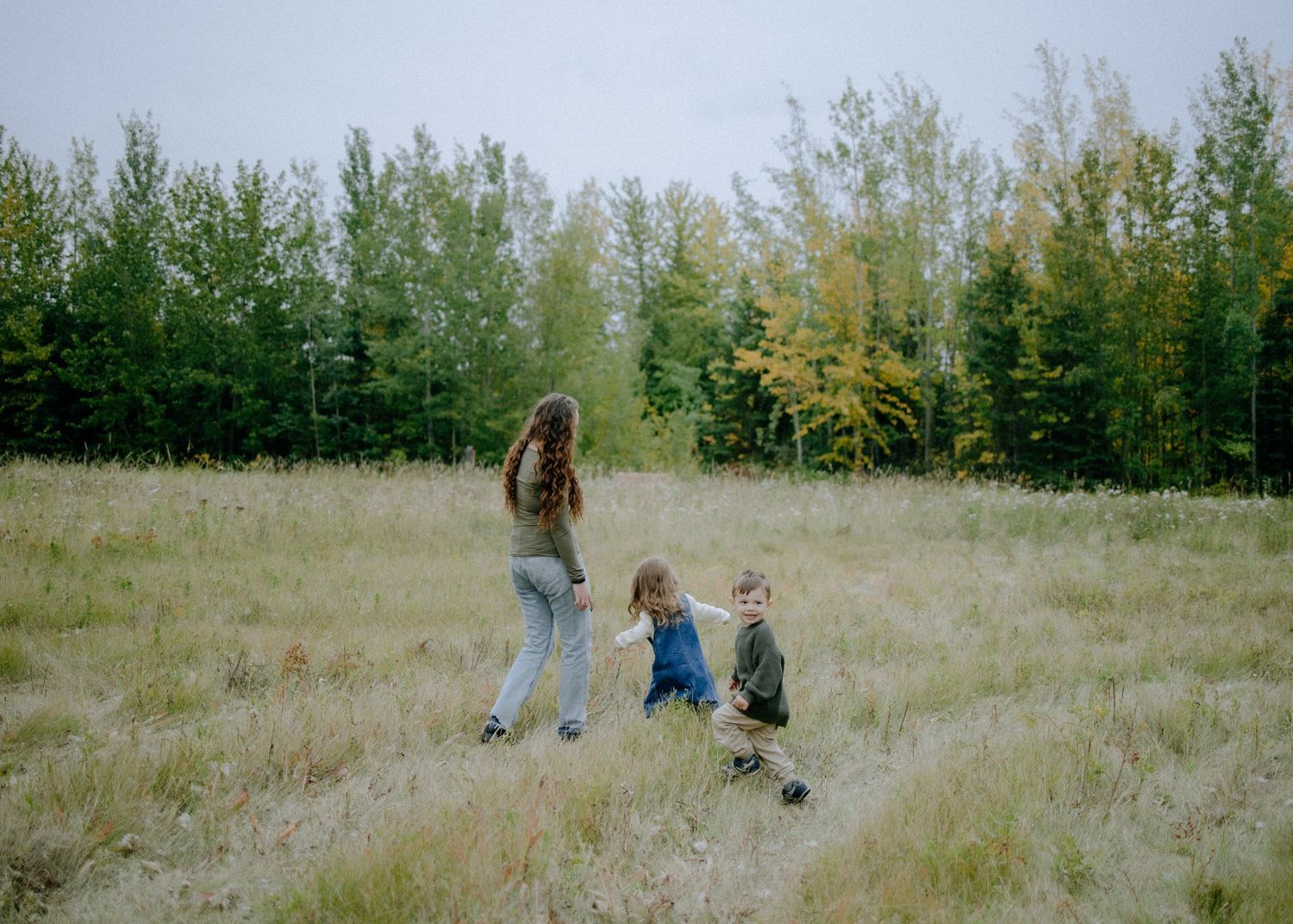 A peaceful walk through a grassy field with trees in the background.
