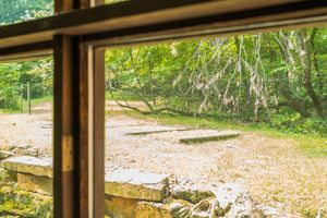 View through window frame of dirt path leading into lush green forest.