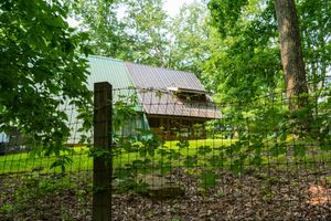 A rustic cabin nestled in lush green woods behind a wire fence on a summer day.