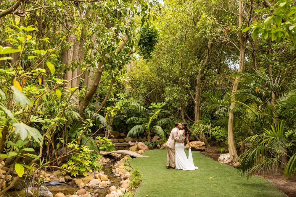Lush tropical garden path with green foliage and natural stone features creates an intimate outdoor setting.