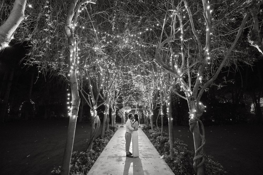 Black and white photo of a romantic walkway lined with illuminated trees creating a magical tunnel of lights.