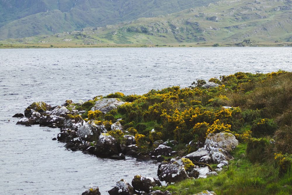 Clool Lough road trip irlande van