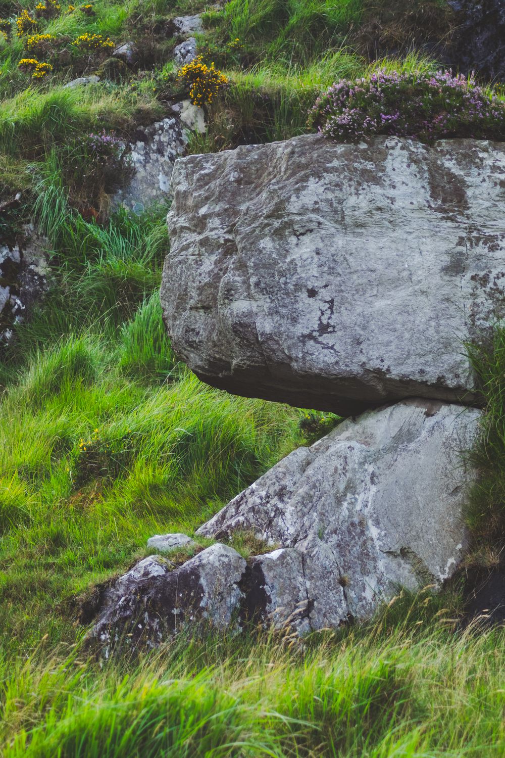Clool Lough road trip irlande van
