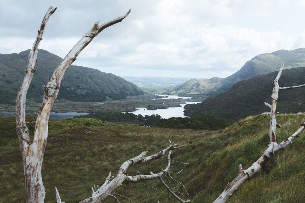 Ladies’ View - road trip - irlande - van