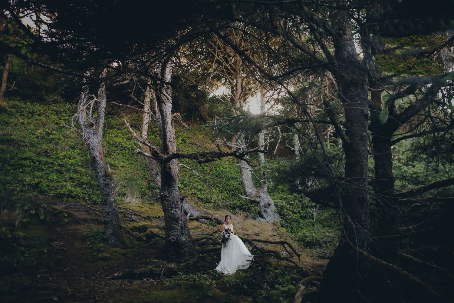 A white dress flows ethereally among mossy forest trees in a mystical woodland scene at sunset.