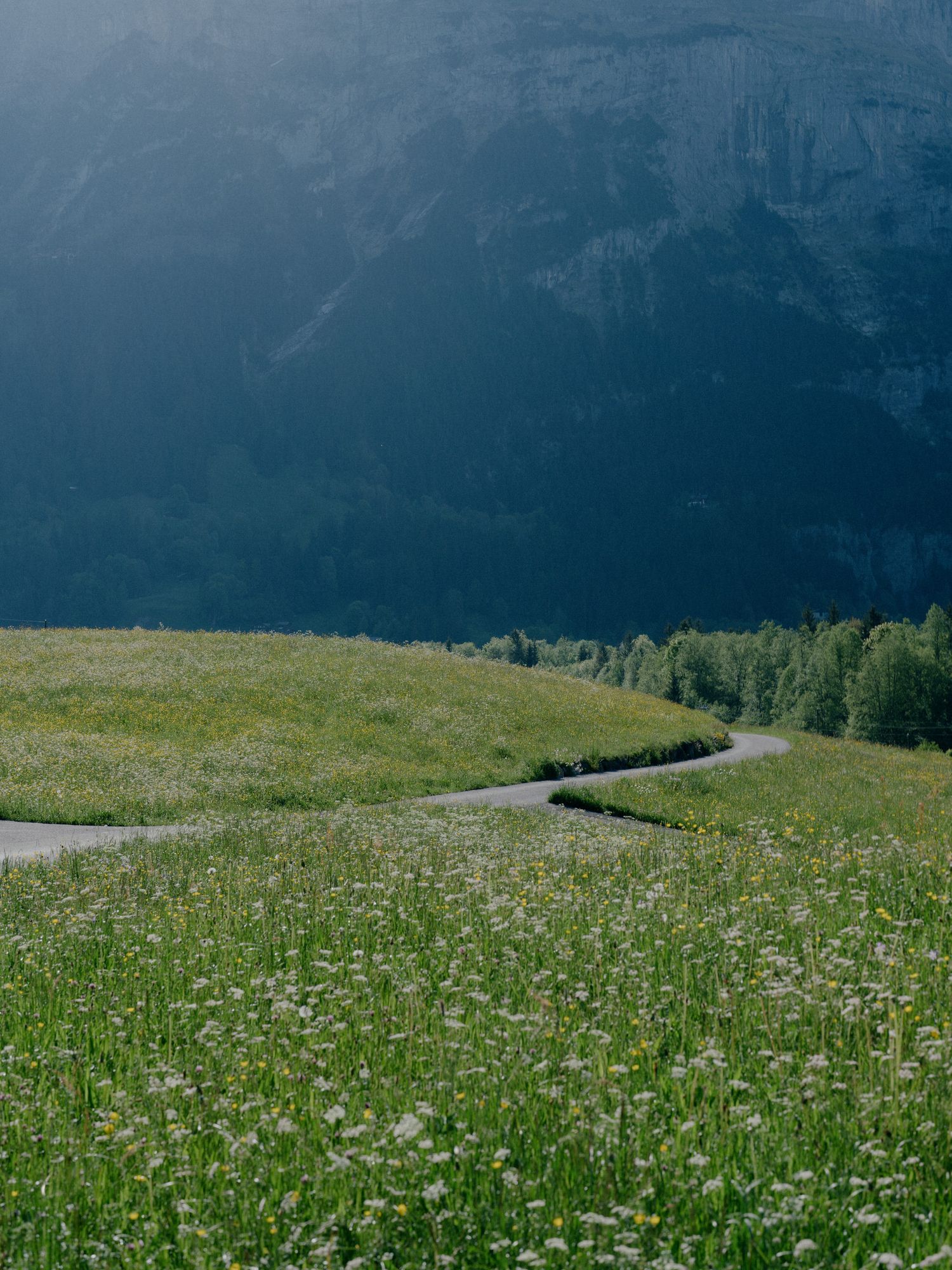 A winding mountain path cuts through a green meadow filled with wildflowers beneath dark, misty mountain slopes.