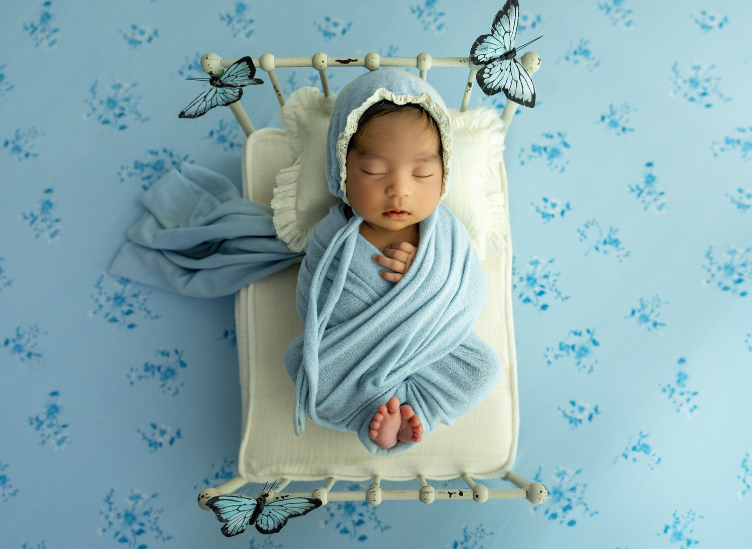 Newborn Photographer
Cake Smash Photographer
Milestone Photographer
Kentucky Photographer
Richmond Kentucky
Berea kentucky
Lexington KY