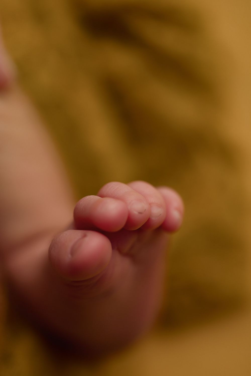Delicate tiny toes of a newborn baby photographed against a golden-brown background.