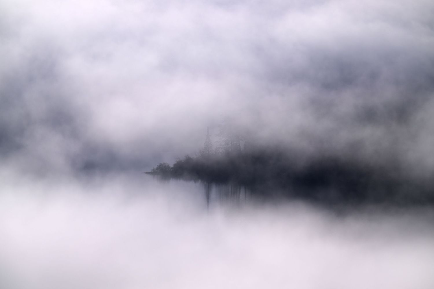 Misty autumn cliffs rise above a colorful forest landscape with tall pines and vibrant fall foliage in the fog.