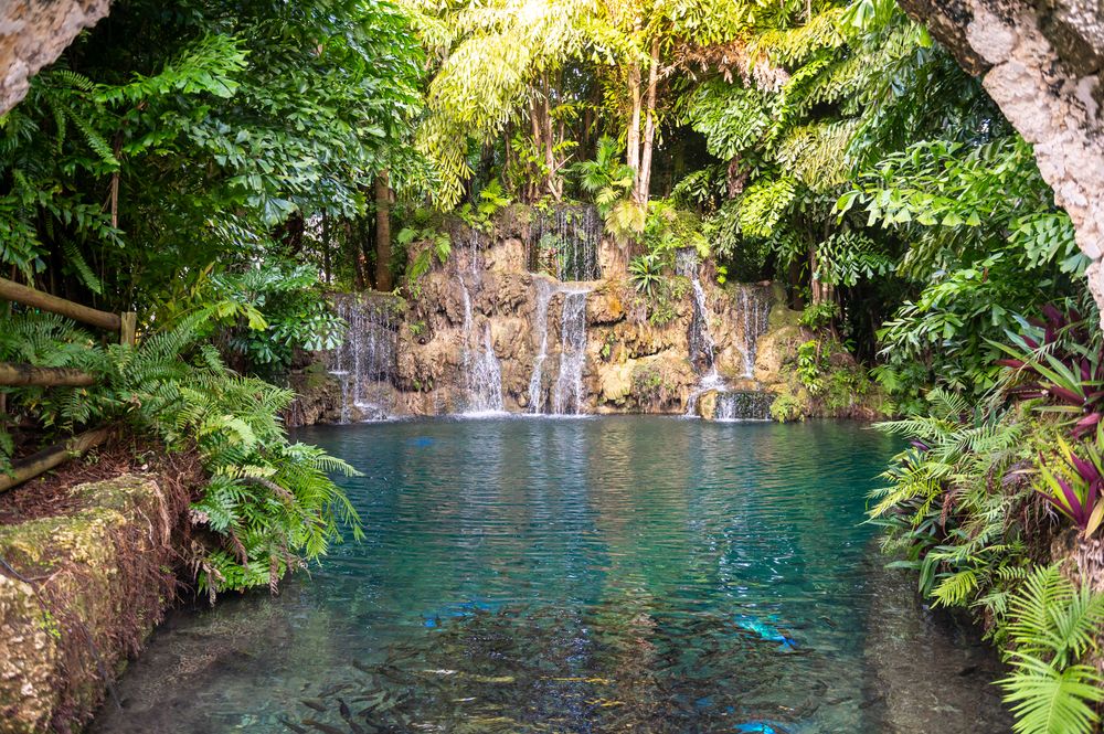 Elopement ceremony beside the waterfall at Secret Gardens Miami by Miami wedding photographers.
