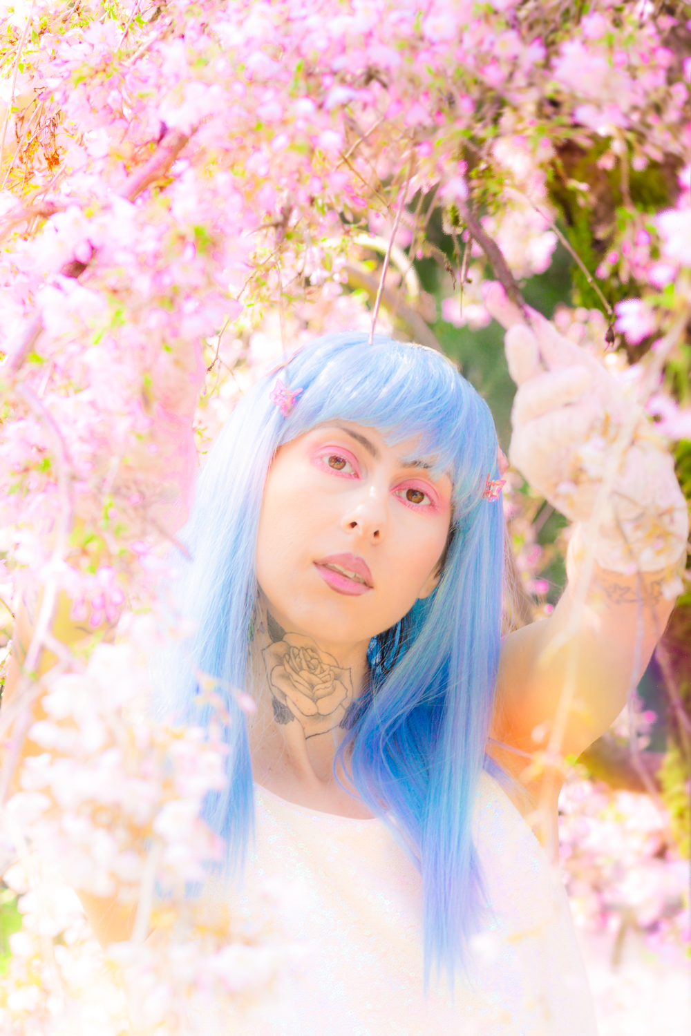 A dreamy portrait under pink cherry blossoms featuring someone with long blue hair and white clothing.