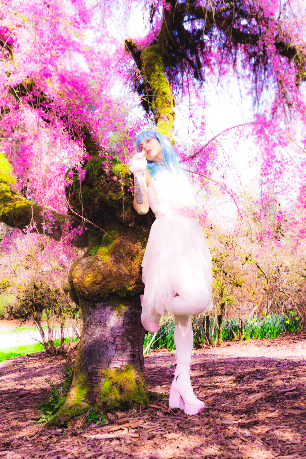 A dreamy figure in a white dress poses beneath blooming pink cherry blossoms against a mystical garden backdrop.