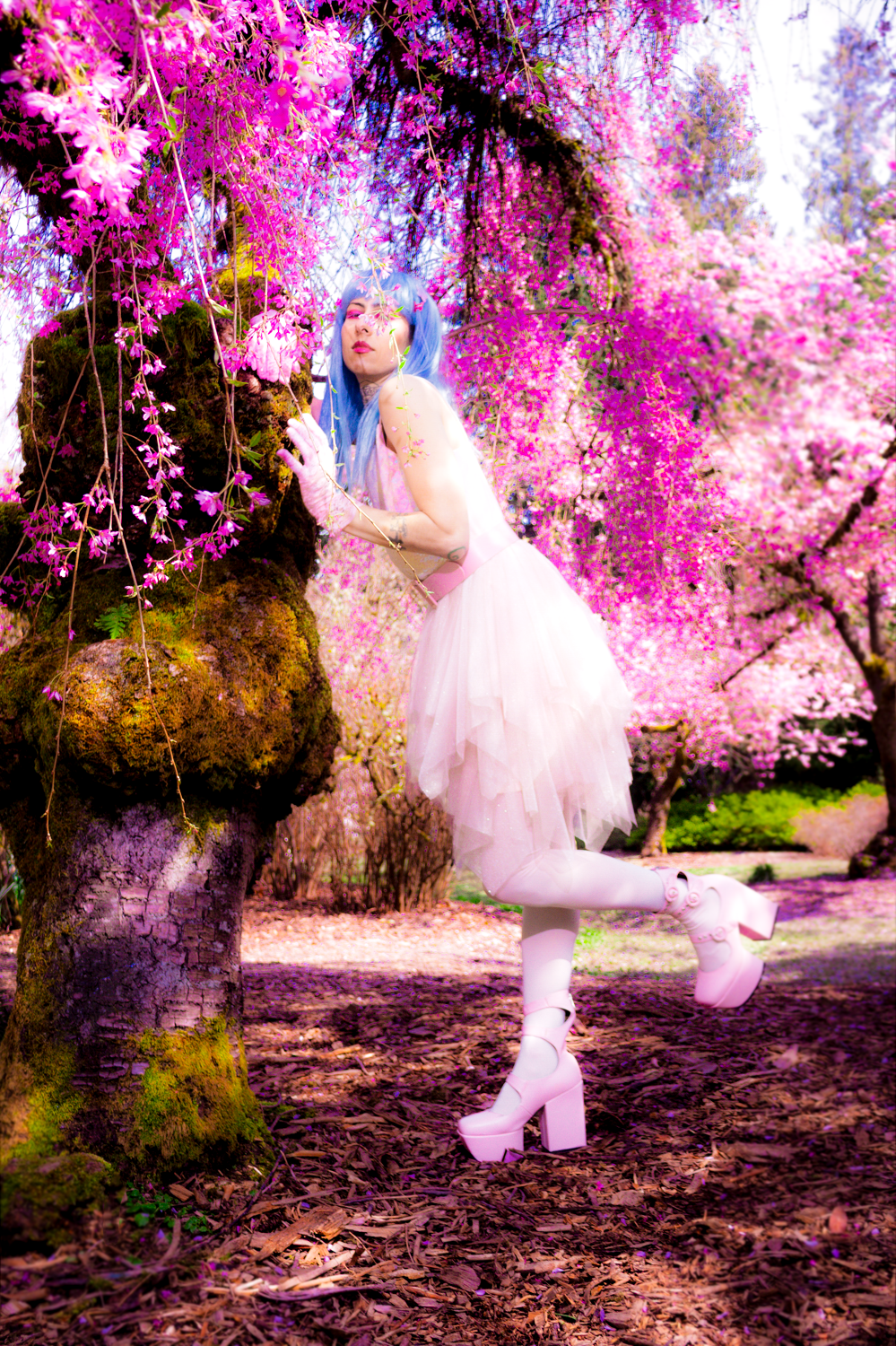 Ethereal scene with flowing pink cherry blossoms surrounding a figure in a white dress and platform shoes beneath the branches.