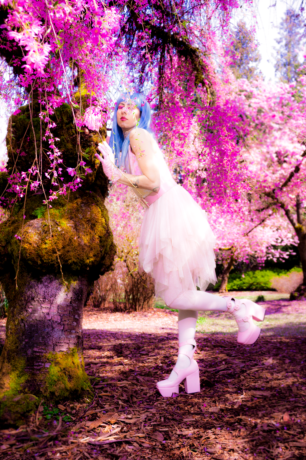 Dreamy portrait under vibrant magenta cherry blossoms with figure in white dress and blue hair striking a whimsical pose.