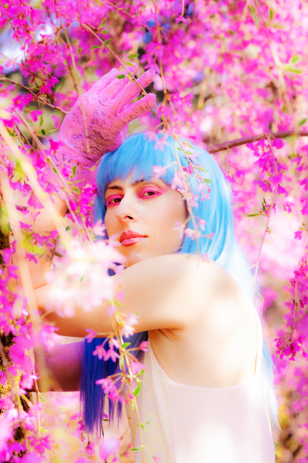 Artistic portrait with blue hair surrounded by bright pink cherry blossoms in a dreamy spring setting.