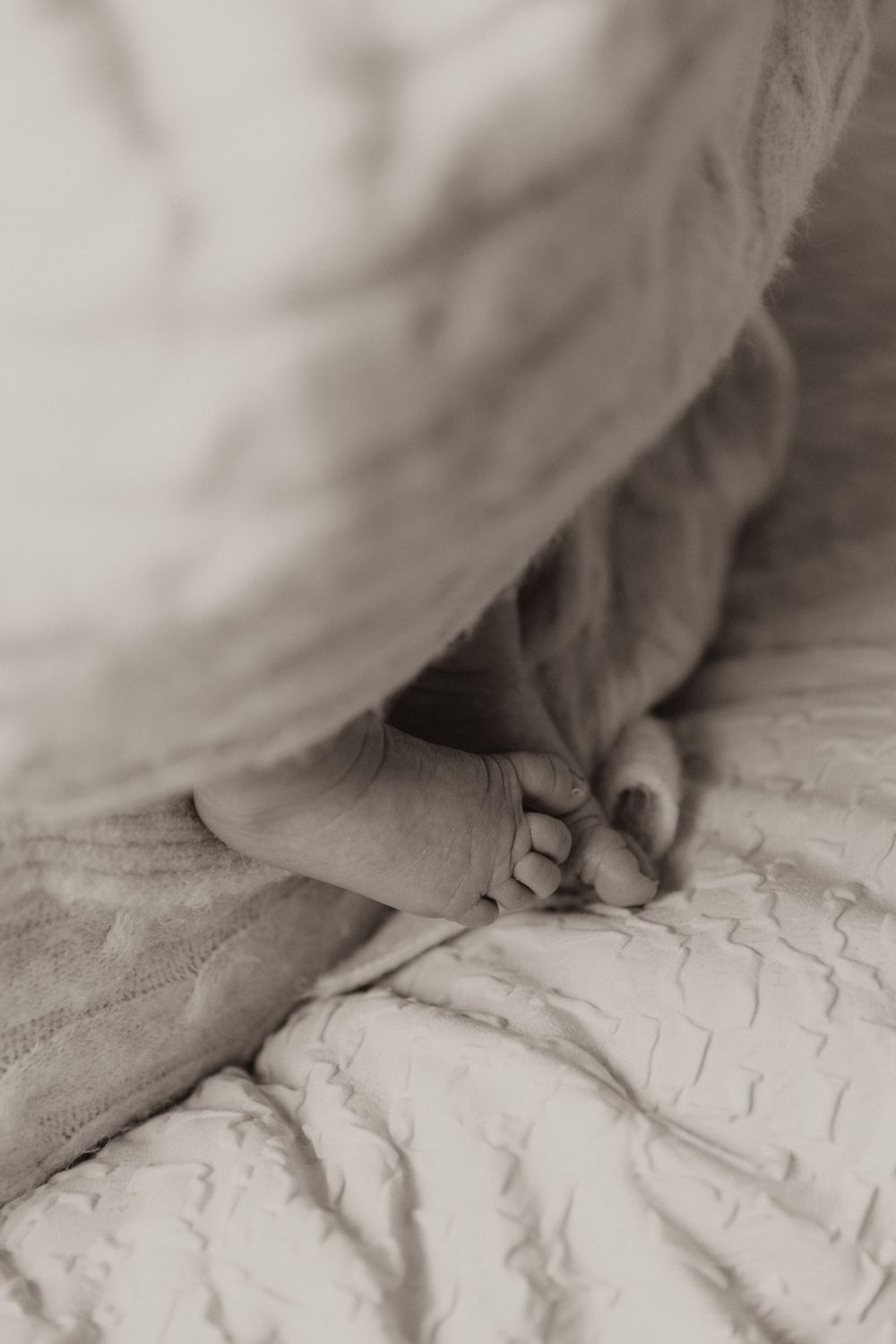 Small white cat paws gently pressing into a quilted white textured surface showing kneading behavior.